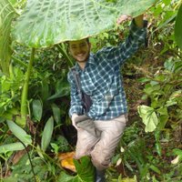 Ed Basham (@geckoeb) 's Twitter Profile