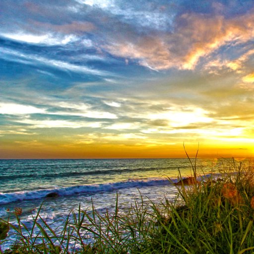 Stop Trump from getting rid of the clean air and water acts that make this country the beautiful place it is today