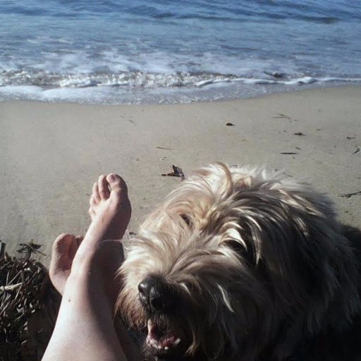 lallunademada's profile picture. 