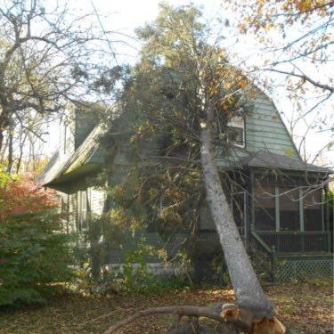 RGASBeeler's profile picture. Regional General Adjuster at VeriClaim Inc.