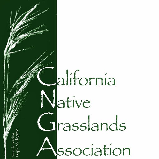 We promote, preserve, and restore the diversity of California's native grasses and grassland ecosystems through education, advocacy, research, and stewardship.