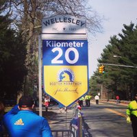 Scream Tunnel Signs (@thescreamtunnel) 's Twitter Profile