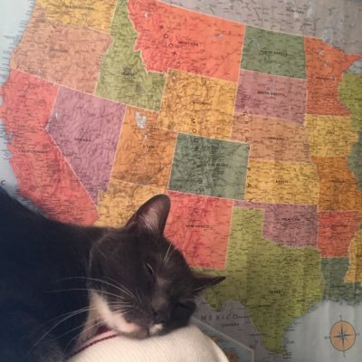 XT1980's profile picture. 