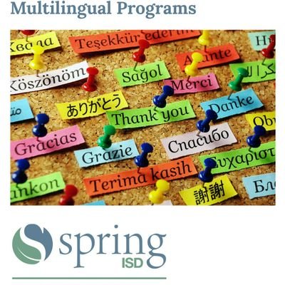 SISD Multilingual