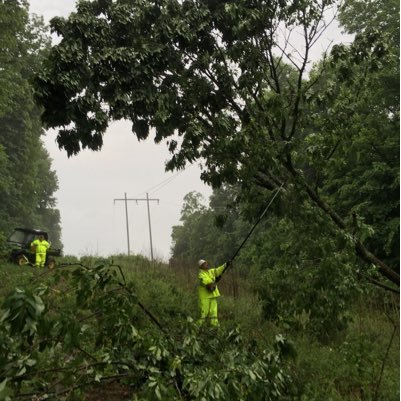 kentucky master logger, Right of way coordinator for WRECC . Transmission Line Danger & Hazard tree specialist. they call me poppy