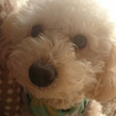 サンドクロック大好き💕ラジクロでサンクロのお二人につけてもらったラジオネーム。epoch大好き→えぽりんです。 フォローは一言いただけるとうれしいです。 wacciとか TRIPLANE とか レキシとか 統一感ないけど😅いろんな人のライブに行きたいと思ってます。