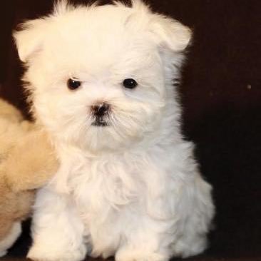 debrahubert51's profile picture. stroke survivor, saving Mother Earth. 💜Golf, Surfing, Fishing, Painting, & Gardening. 💙🌊☮️🇺🇦🌈🏄‍♀️🏊‍♀️♿️