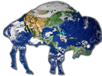 BuffaloExpatNet's profile picture. The Buffalo Expat Network is a group of action-oriented former Buffalonians, whose mutual affinity for the City drives us to help fuel Buffalo's renaissance.