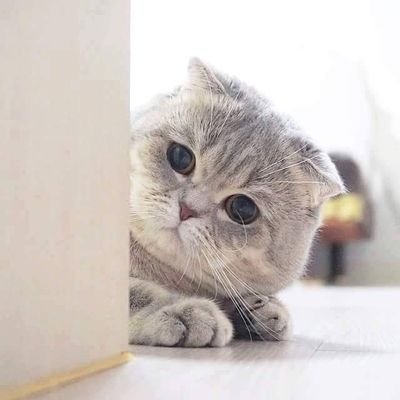 ลิขิตฟ้าหรือจะสู้มานะตน