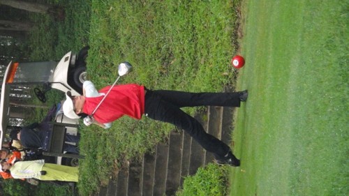 Ann Fong Profile