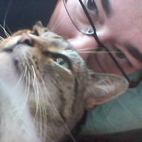 Lady Grey (@sarahlynnnw) 's Twitter Profile