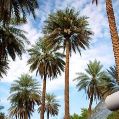 أرض السواد Abothiat Twitter