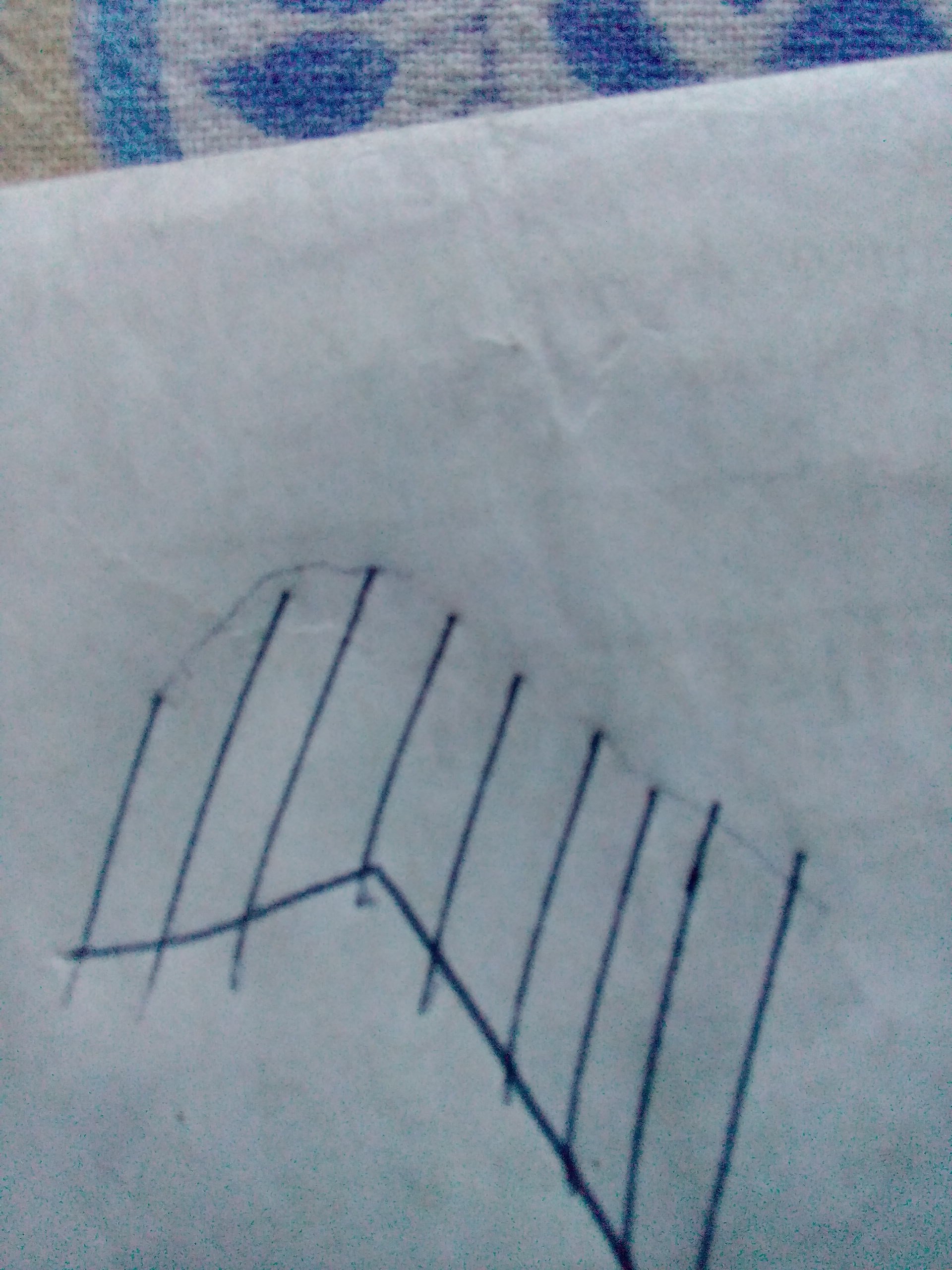 shree0000000's profile picture. 