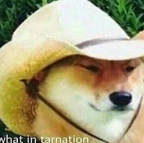 issy_bunbun's profile picture. This account got hacked