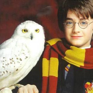 HPlotter44's profile picture. Gaming, Fun, Gaming News, Xbox one, YouTube, Quad Bikes, Adventure,