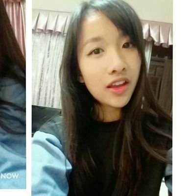 PignoseBanana's profile picture. 