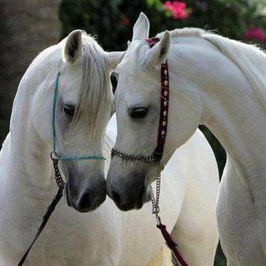 mdpory's profile picture. 