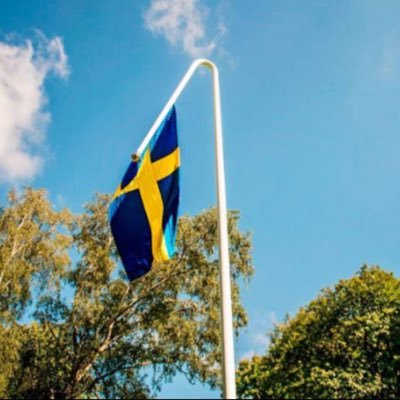 Liberalkonservativ. Tweetar om allt som är sjukt i Sverige. Korrupta makthavare förtjänar att stå till svars för sina lögner och manipulerande. S är värst.