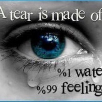 michelefedele31's profile picture. 