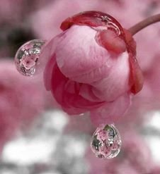 光と気のバランス
Kinesiologist, interested in Brain Gym, meditation, Matrix Energetics & esoteric studies. Keen interest wholefood plant-base, eco homes, permaculture.