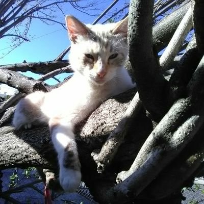 2elvira's profile picture. 