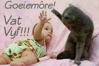 TonyRobbertse's profile picture. Honest proud to be white