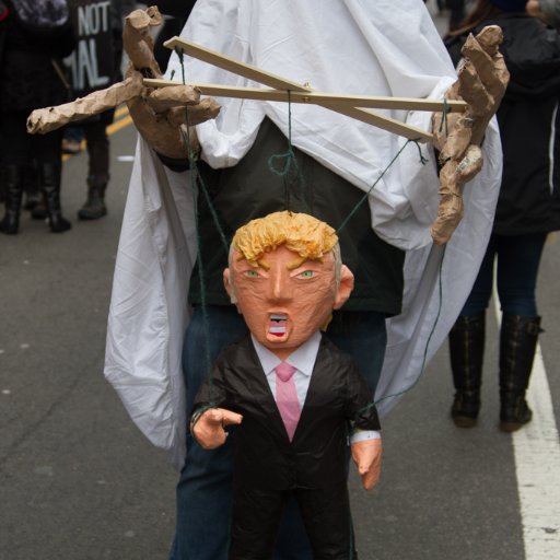 TotallyNotAPupp's profile picture. Sniffing and Puffin'