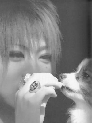 Liugui948956239's profile picture. The GazettE大好き、関ジャニ∞押す