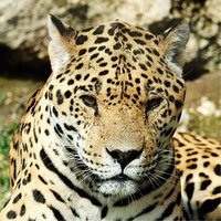 Longfellow ES (@elem_longfellow) 's Twitter Profile