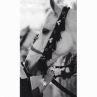 ✿ ونـآت ❁Q8 (@waanaat) Twitter profile photo