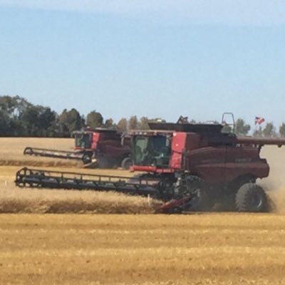 Grow grains , oilseeds, and pulses with my Wife Barb, our son Kevin and daughter-in-law Tyla