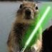 Jedi Squirrel 🌊🌻🇺🇦🐿🎸 (@mike33mje) Twitter profile photo