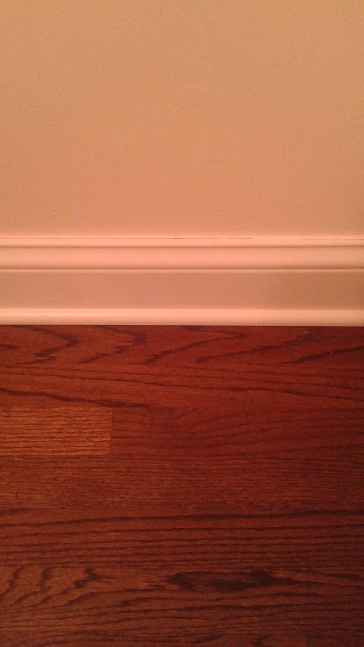 middlebury2000's profile picture. 