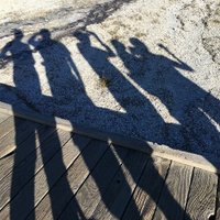 The Fringe Lab (@thefringelab) 's Twitter Profile