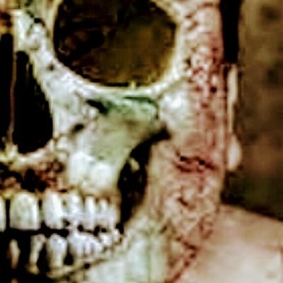Horrorfanatic, cinephile,wrestling fan, indie horror writer, blogger and pirate wannabe
I've seen things you people wouldn't believe.