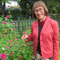 Louise Giles (@doggess) 's Twitter Profile