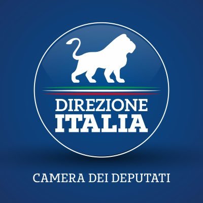 Gruppo parlamentare Direzione Italia - Camera dei Deputati