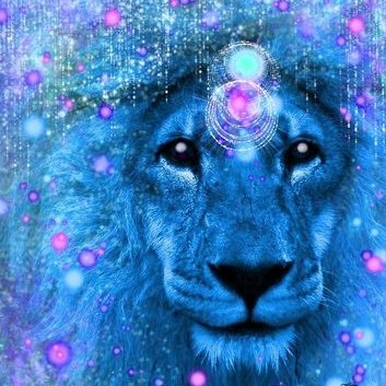 YleriYleri's profile picture. ..c u on https://t.co/xOXURXmksx (or others)
~ . ~