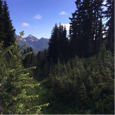 hippiemompdx's profile picture. 