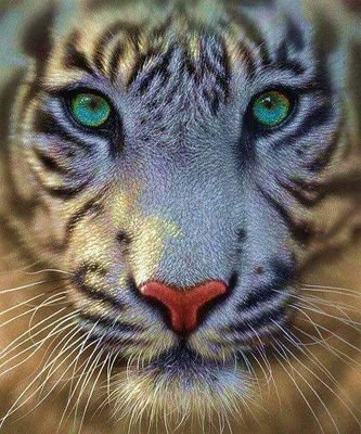 paula2925's profile picture. 