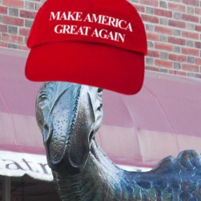 Haddonfieldgop2's profile picture. HADDONFIELD REPUBLICAN SOCIETY TO GET THOSE HALF WITTED DOGS THAT CALL THEMSELVES DEMOCRATS OUT OF OUR TOWN! ALL REPUBLICANS WELCOME TO SAY WHATEVER THEY WANT!