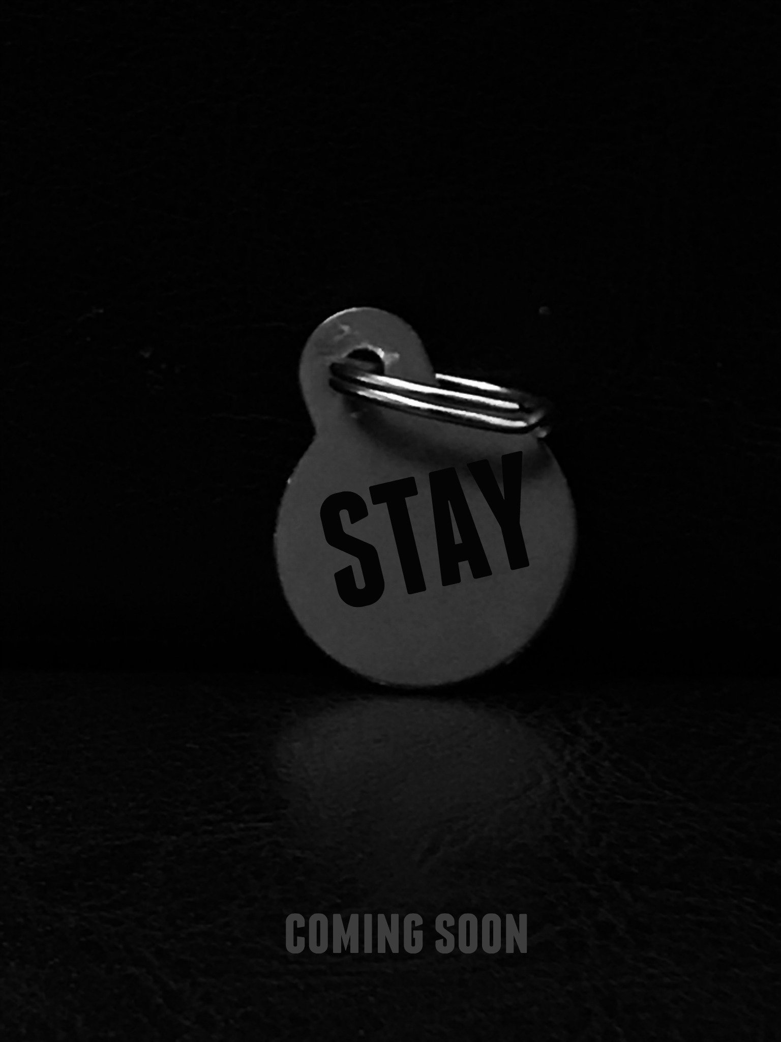 STAY is a short film about a beloved pet's vengeance.