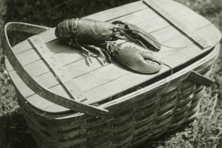 CookWithKate's profile picture. Amateur Chef with the dream of someday.