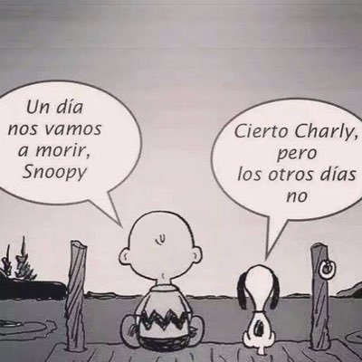 Art. 22. La paz es un derecho y un deber de obligatorio cumplimiento.