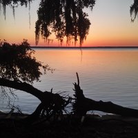 Kate Moretti (@krmoretti) 's Twitter Profile