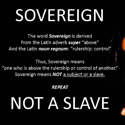 American National Freeman on par with the crown heads of Europe as the Sovereign and owner of this land holding in perpetuity my Bill of Rights.