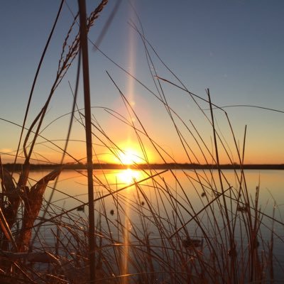 dylanreading's profile picture. HI.