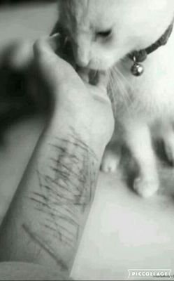 ailenavila292's profile picture. ♥🏇♥
🔯🎼🔯