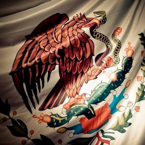 juliocruzdesale's profile picture. 