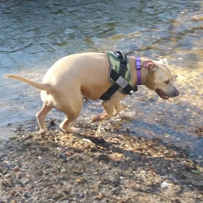 Bea Profile